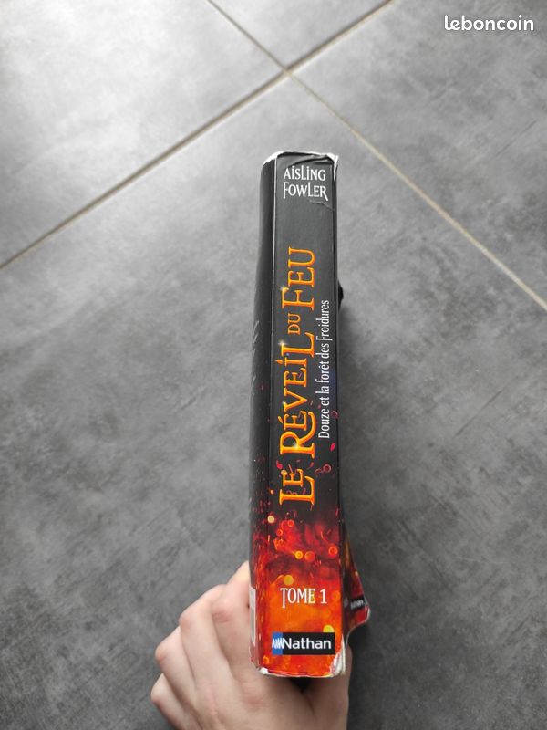 Le réveil du feu (image 3)