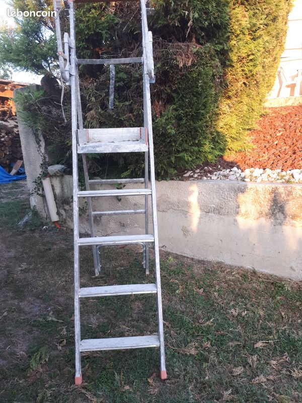 Grand escabeau PRO FACAL PLATE FORME (image 3)