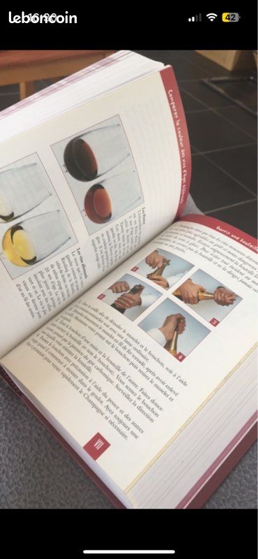 Petit Larousse des vins (image 7)