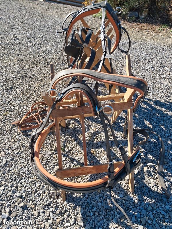 Harnais D'équitation Complet En Cuir Brubacher - Collier Poitrine Mennonite, Taille Cheval (occasion)