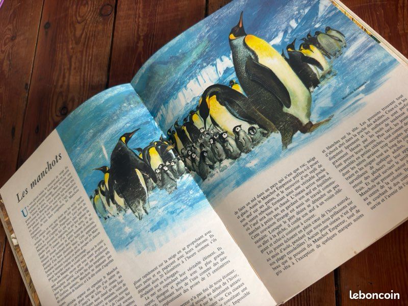 TBE - Pierre Probst auteur Caroline livre Le monde des oiseaux encyclopédie en couleurs Hachette (image 9)