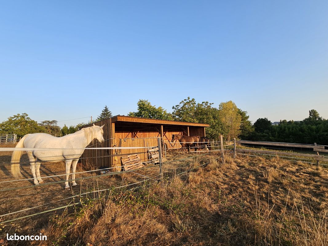 Maison 6 pièces 210 m² · à Grateloup-Saint-Gayrand · 210 m² · 385 000 €