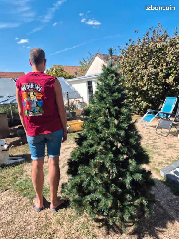 Sapin artificiel Carolina 1m80 (image 2)