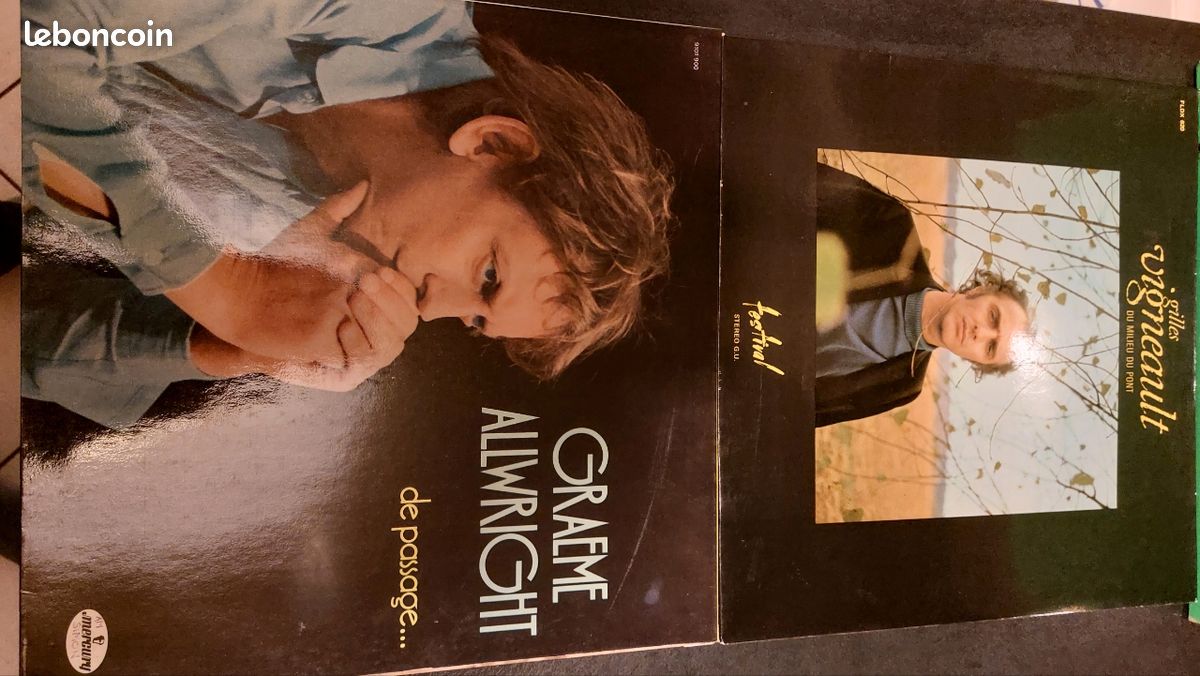 Lot 14 vinyles 33 tours & 3 disques 45 tours (image 6)