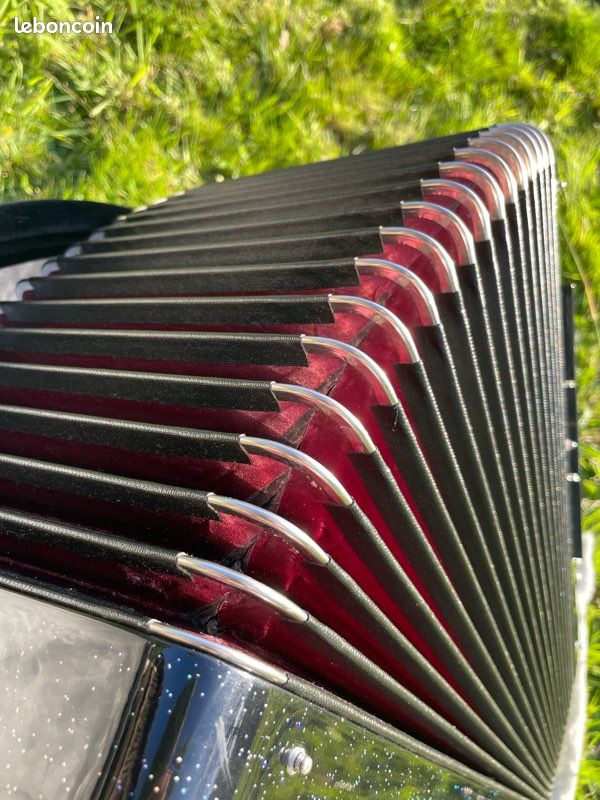 Accordéon Cavagnolo à boutons (image 10)