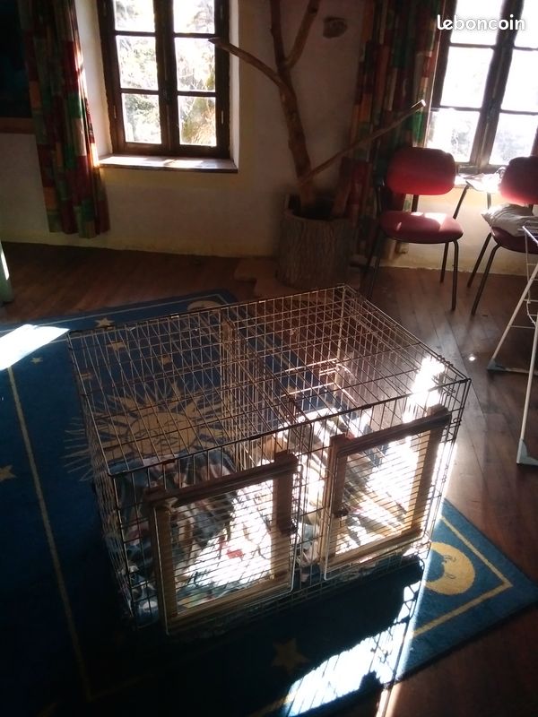 Cage artisanal pour deux petit chiens (image 1)