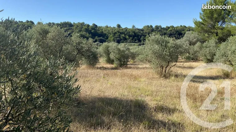 Annonce vente Terrain tavernes