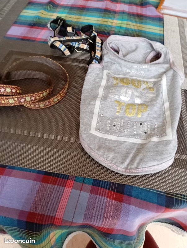 Accessoires pour petit chien (image 1)