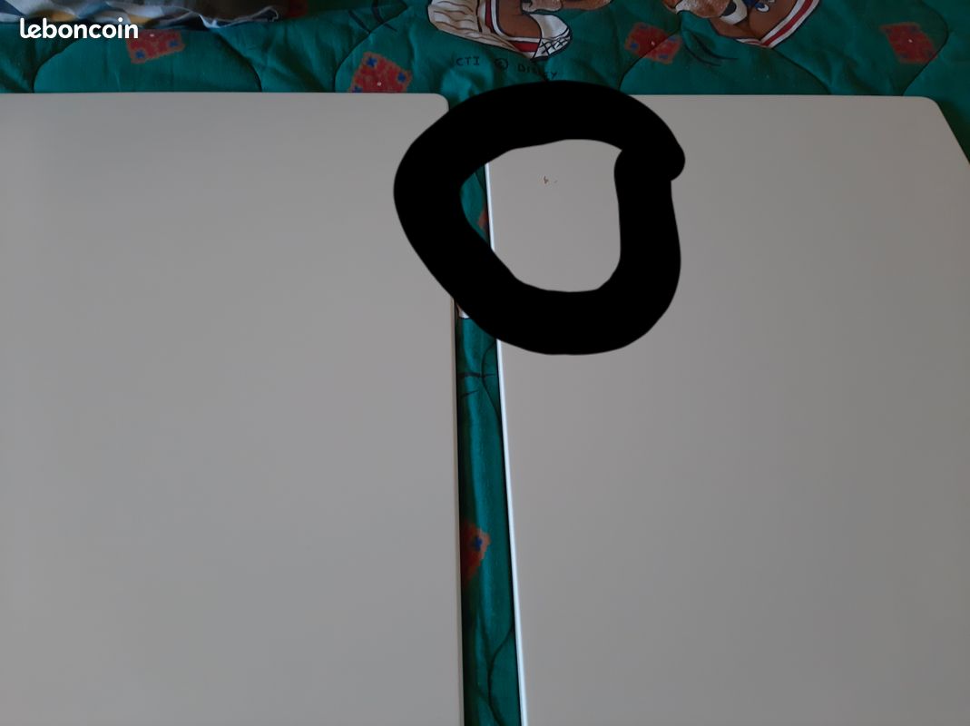 Ikéa 2 grandes portes blanches pour armoire enfant STUVA (image 6)