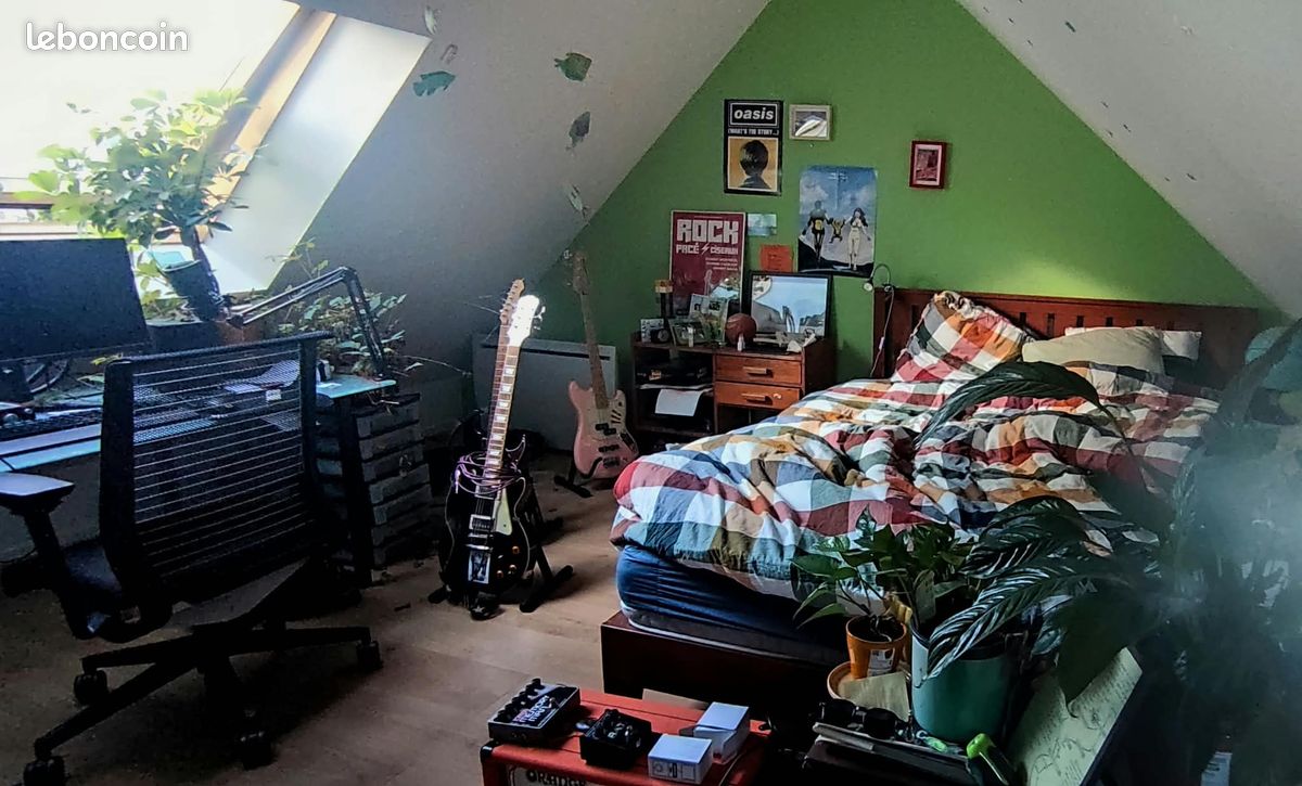 Recherche nouveau colocataire (image 2)