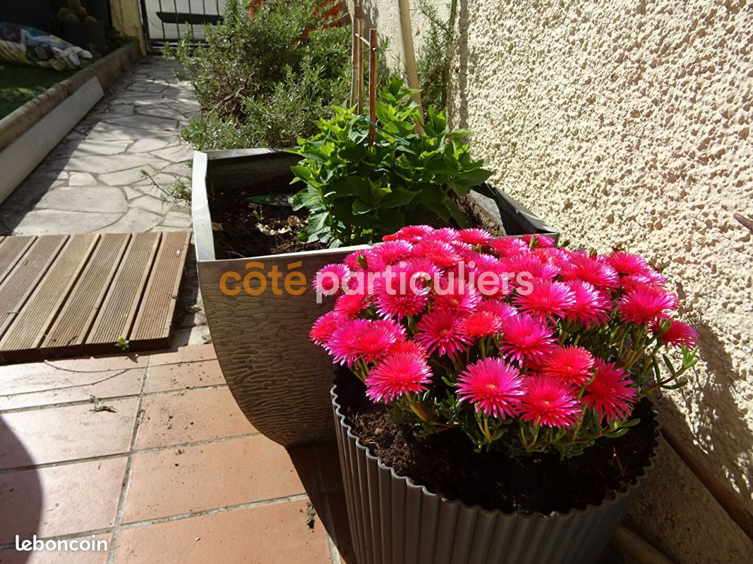 Maison 5 pièces 105 m² · à Lattes · 105 m² · 317 500 €