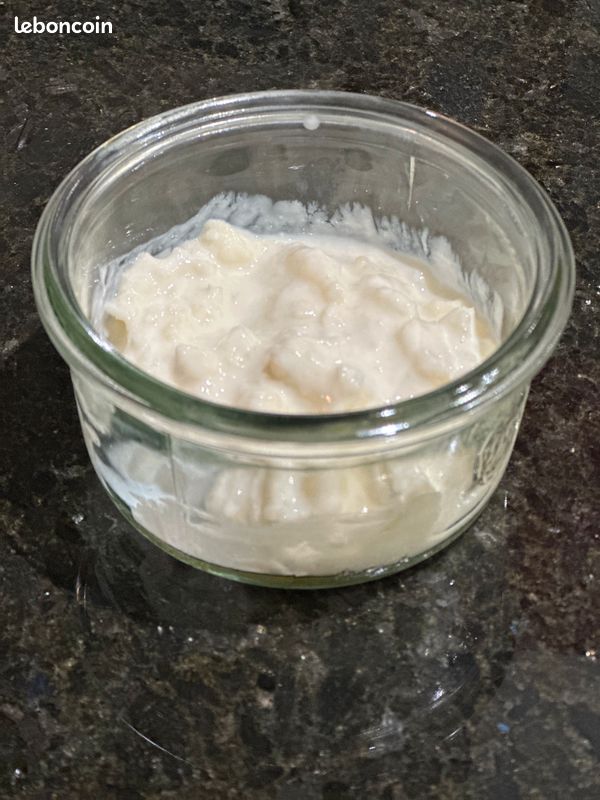Grains de kefir de lait bio actifs (image 2)