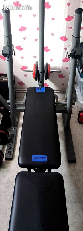 Disques fonte 1 /kg, lot musculation 249 kg + banc + poulie (image 4)
