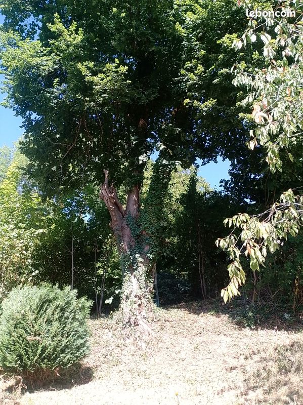 Terrain constructible st Rémy sur durolle (image 3)