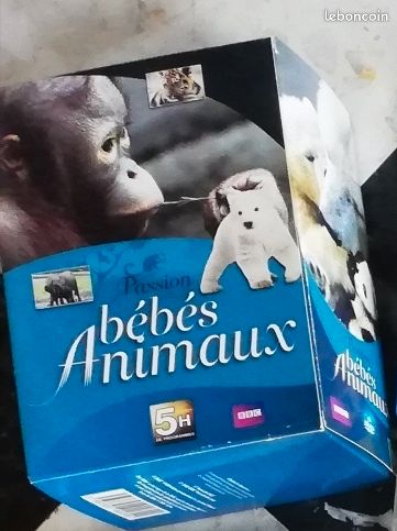 Coffret dvd : bébés animaux 5 dvd BBC (image 2)