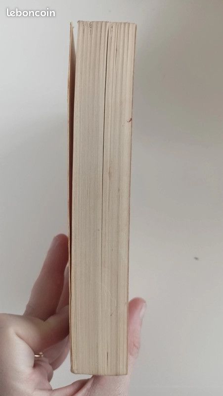 Livre nouveau guide de la version anglaise collection u (image 4)