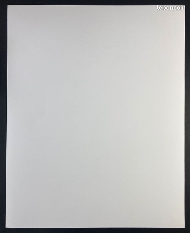 Ana MIRALLES "Djinn : Le trésor de Kim" Lithographie signée et numérotée (image 5)