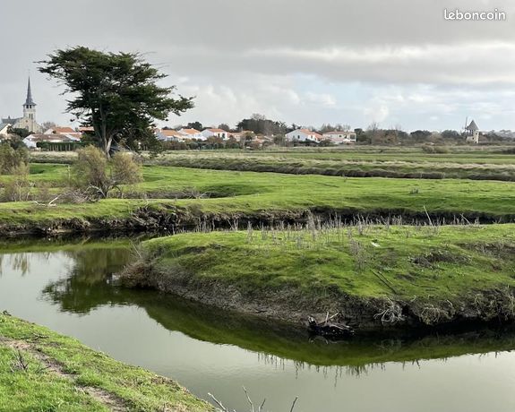 Terrain 11 140 m² L Ile D Olonne