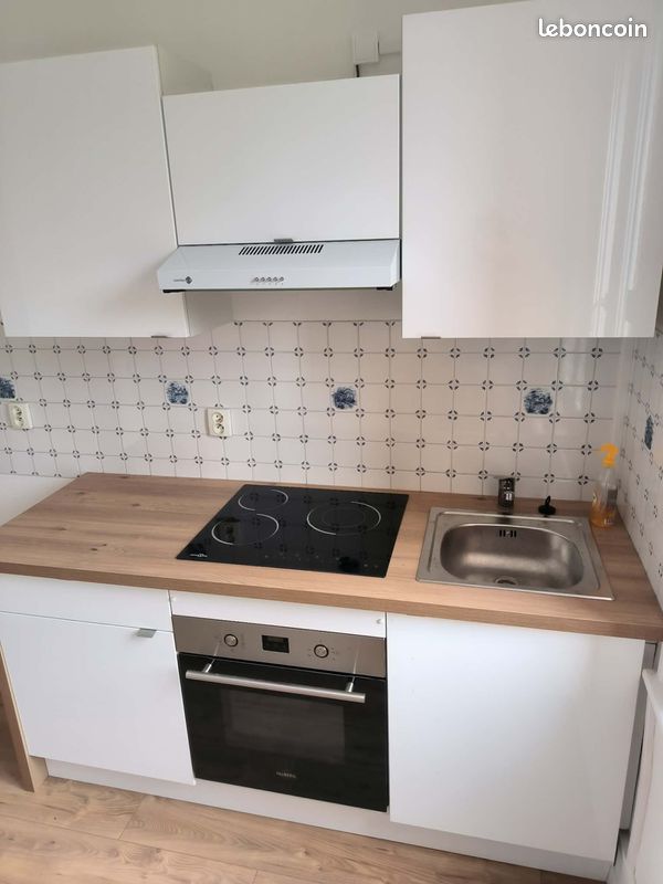 Duplex 3 pièces 51 m² (image 1)