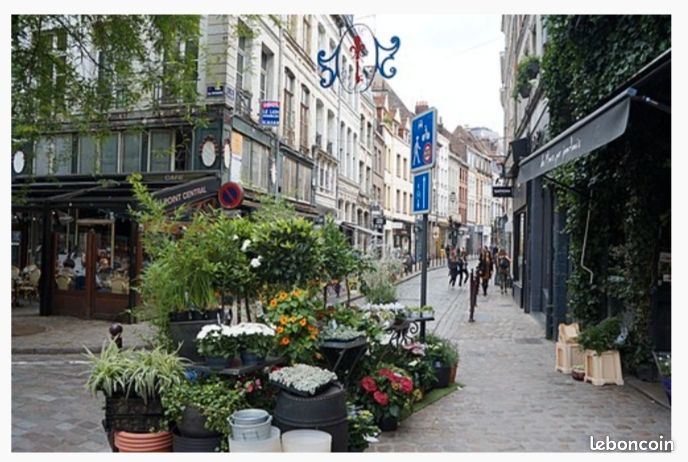 Appartement 2 pièces 39 m² · à Lille · 39 m² · 960 €