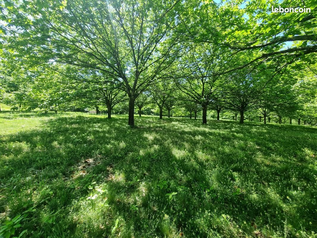 Terrain 4 020 m² Saint Yrieix La Perche (image 7)