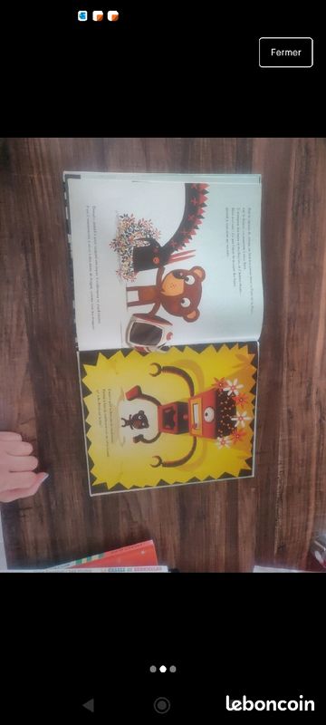 Livre enfant "Un dragon, même pas peur" (image 2)