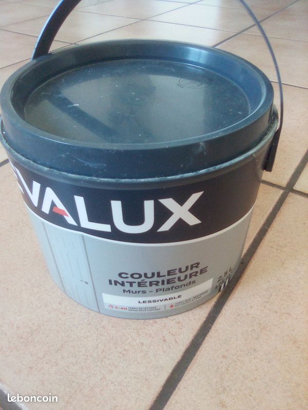 Peinture couleur coquille d'oeuf reste de travaux (image 1)