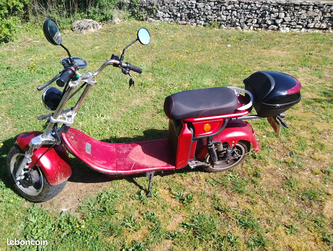 Trotinette électrique ou scooter électrique (image 1)