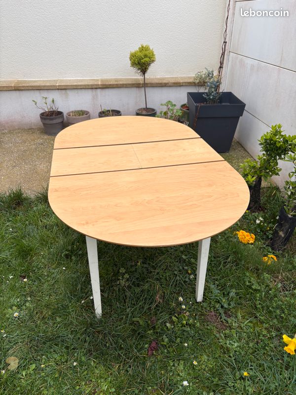 Table +rallonges (image 4)