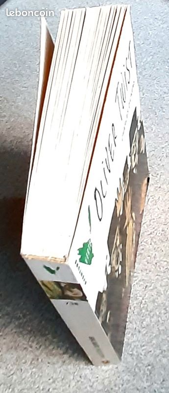 Oliver Twist (image 3)