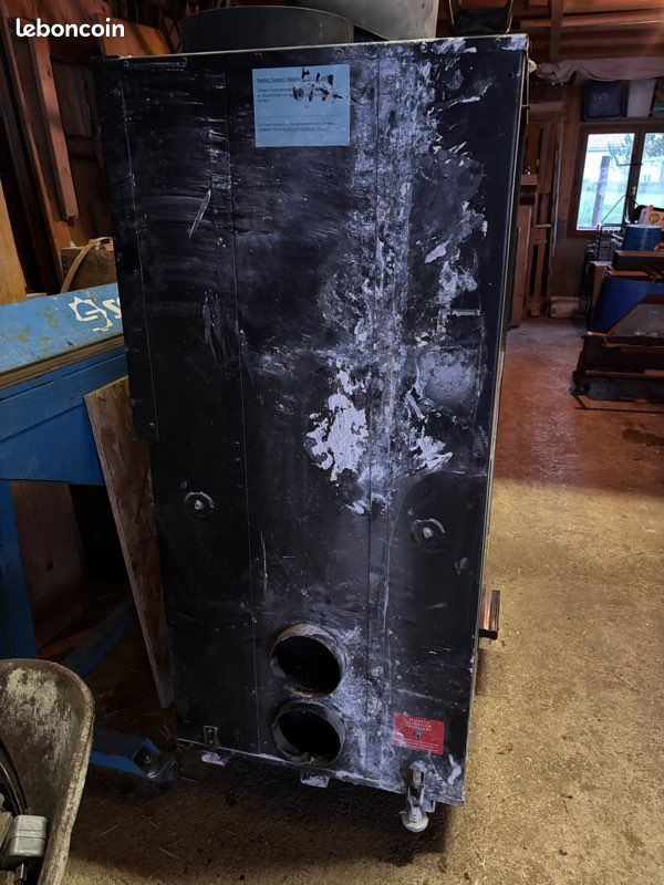 Insert cheminée Ruegg (image 4)