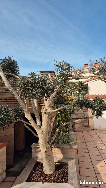 Maison 4 pièces 100 m² · à Malzéville · 100 m² · 250 000 €