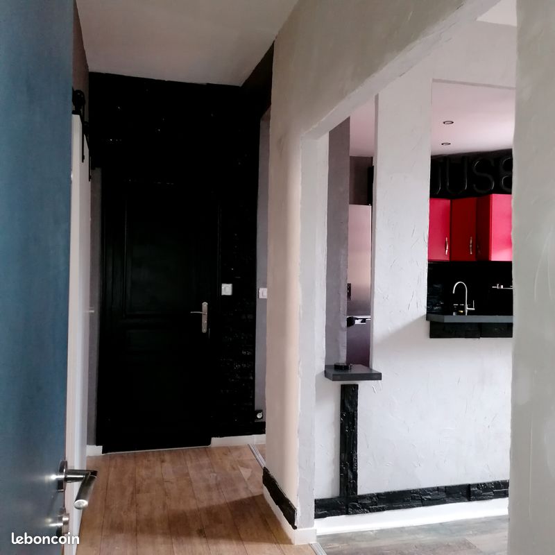 Appartement Type 3 / Design Contemporain - Limoges 87000 Centre-Hôtel de Ville Emailleurs (image principale 2)