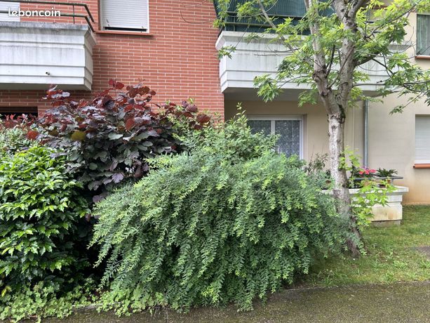 Appartement 2 pièces 37 m²