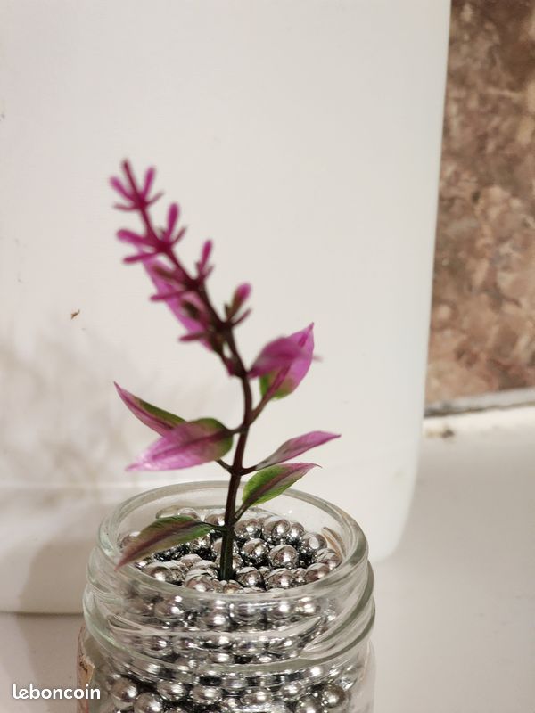 Plante artificielle pour décoration (image 9)