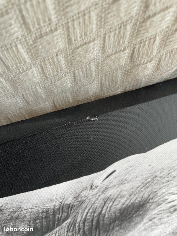 Tableau en toile - Éléphant noir et blanc (image 5)