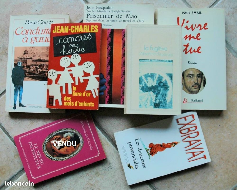 Lots 22 livres, Romans, Guides pratiques, Manuels Scolaires, Enfants (image 2)