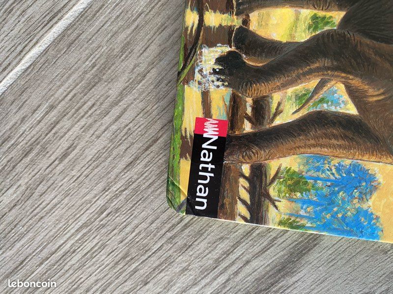 Livre dinosaure (image 2)
