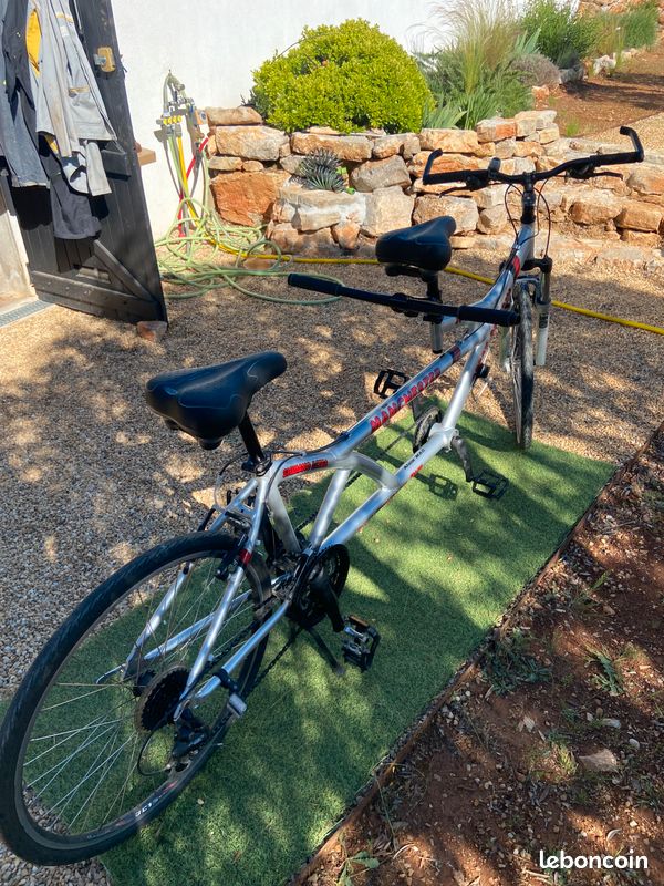 Tandem (image 2)