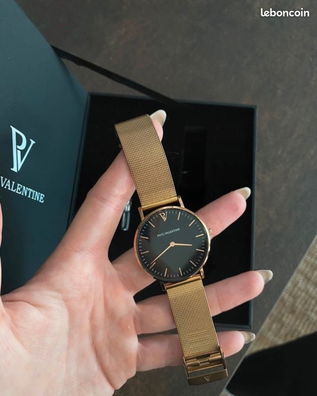 Symphonia Paul Valentine Uhr Einstellen Aikon Venturer Bronze