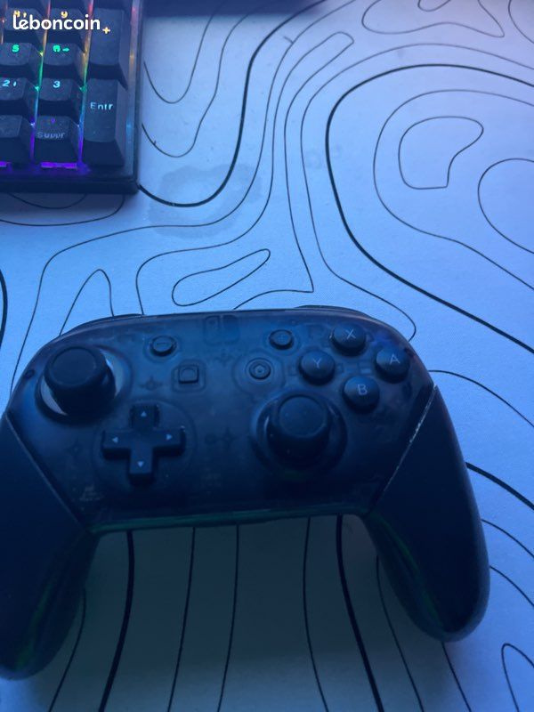 Manette pro switch (image 1)