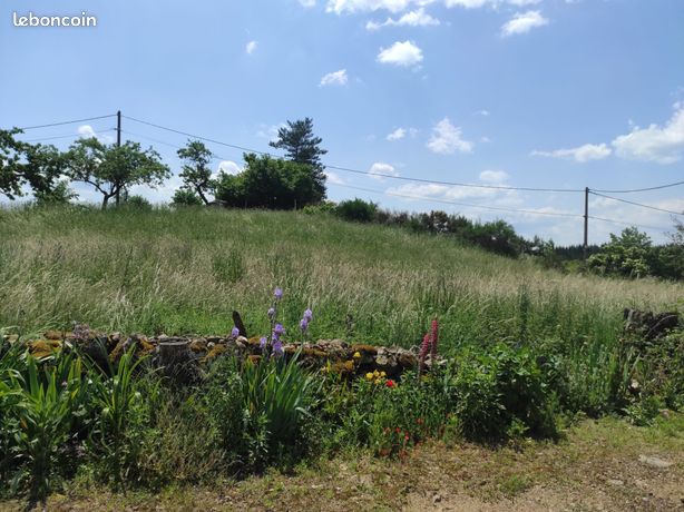 Terrain 1697 m² Lapte