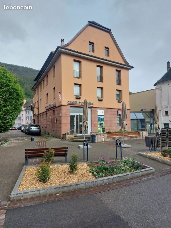 Immeuble 1743 m² · à Guebwiller · 1 743 m² · 965 000 €
