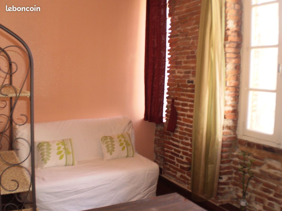 Appartement 1 pièce 20 m² · à Toulouse · 20 m² · 540 €