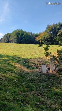 Terrain constructible