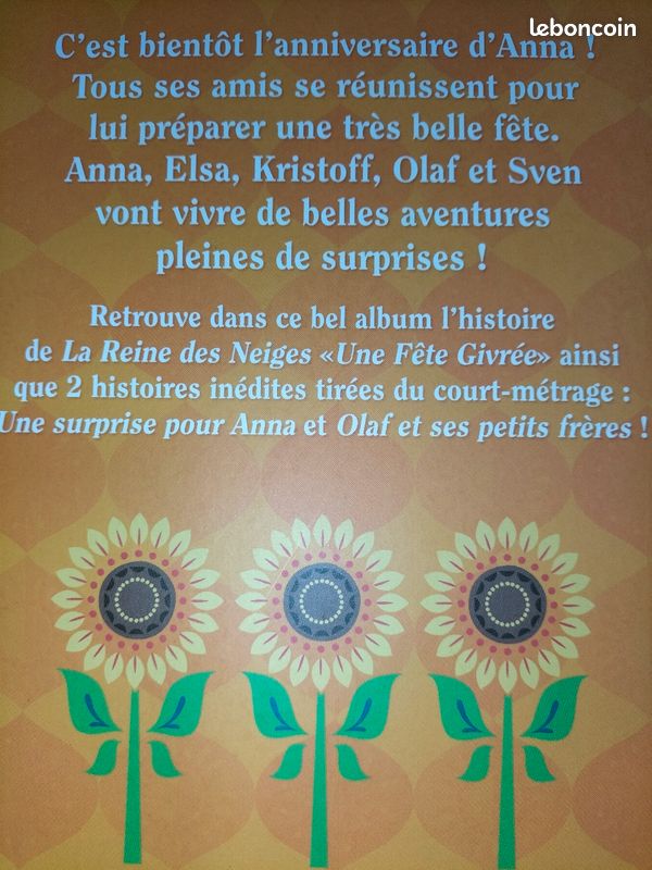La Reine des Neiges une fête givrée Disney (image 2)
