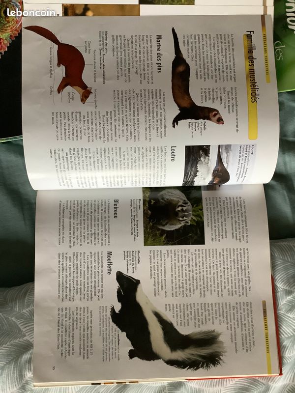 Livres sur les animaux, les dinosaures et le corps humain (image 3)