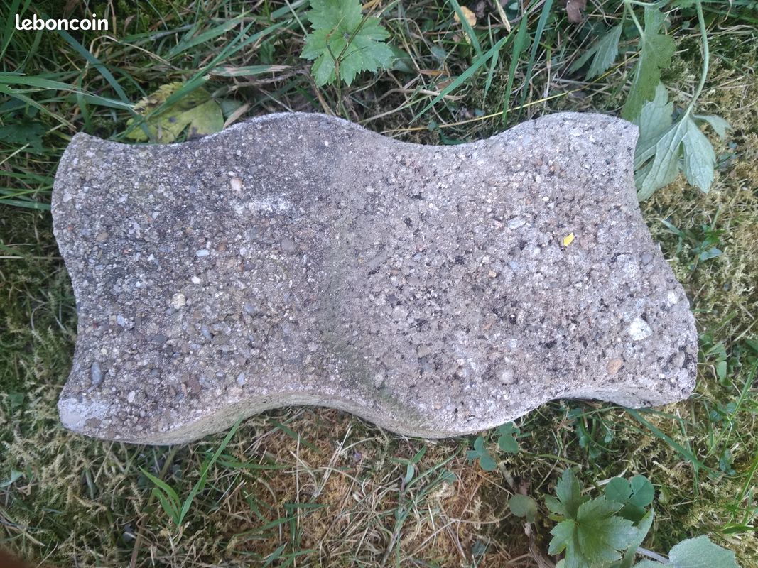 Pave béton (image 3)