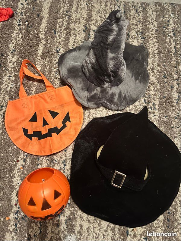 Déguisements sorcière Halloween (image 4)