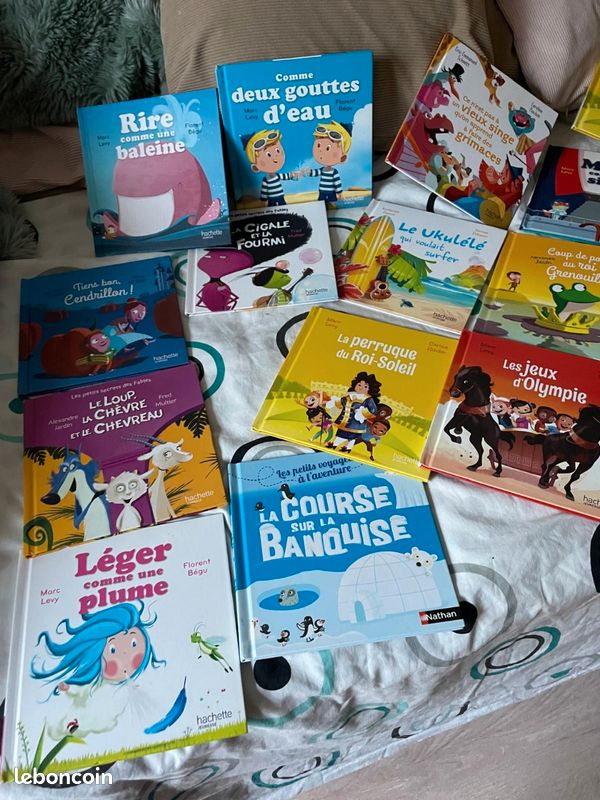 Livre a saisir urgent (image 4)
